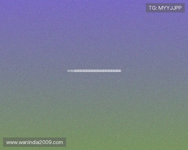 mite娱乐版电脑版助力用户畅享世界杯精彩赛事全景报道与实时直播体验